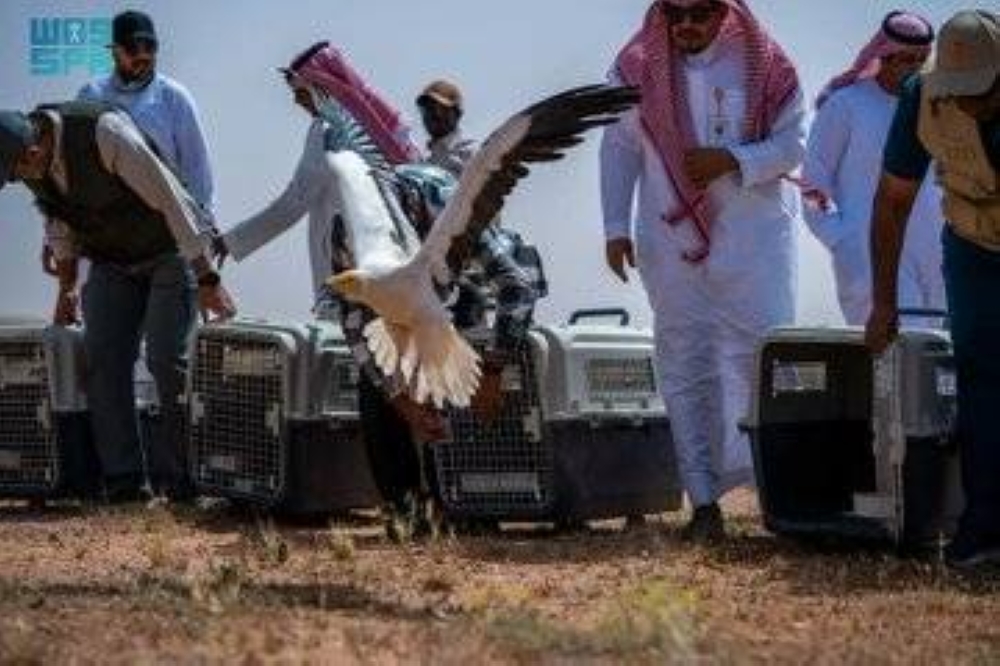 إطلاق 25 كائناً فطرياً في محمية الإمام تركي بن عبد الله