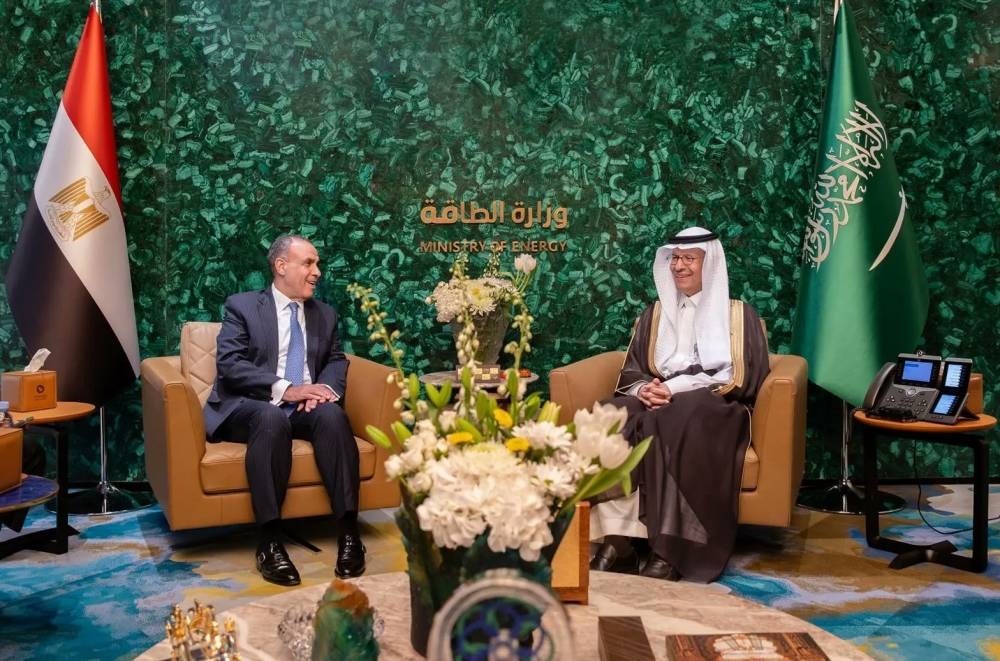وزير الطاقة ووزير الخارجية والهجرة المصري يبحثان تعزيز التعاون