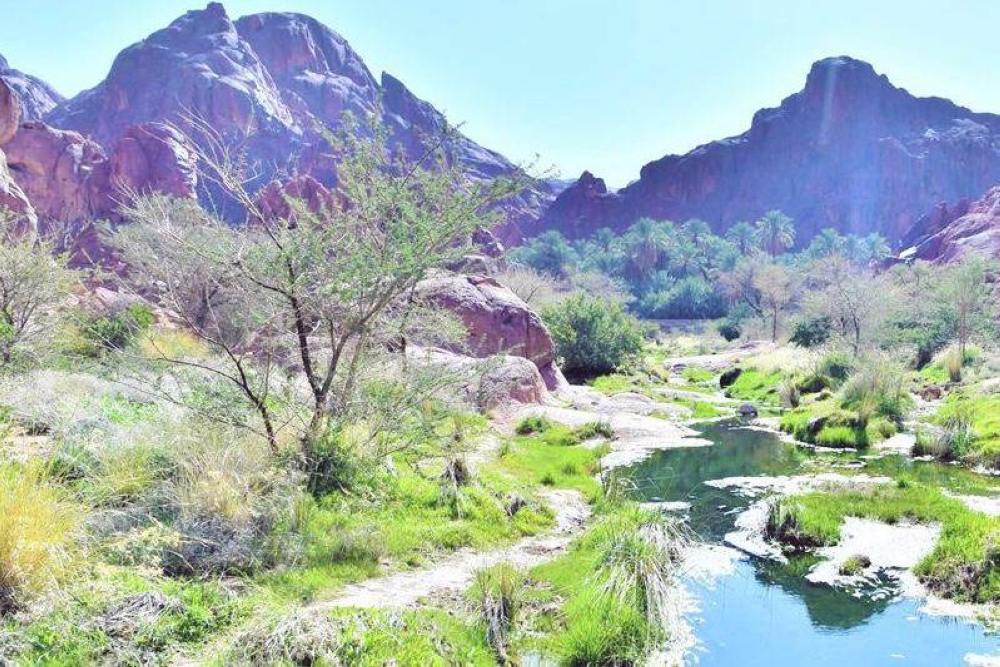 في يوم الأرض.. السعودية تجني ثمار الرؤية الخضراء