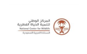 "الحياة الفطرية": جراء الذئاب الرهيبة تعديل وراثي وليست عملية استنساخ