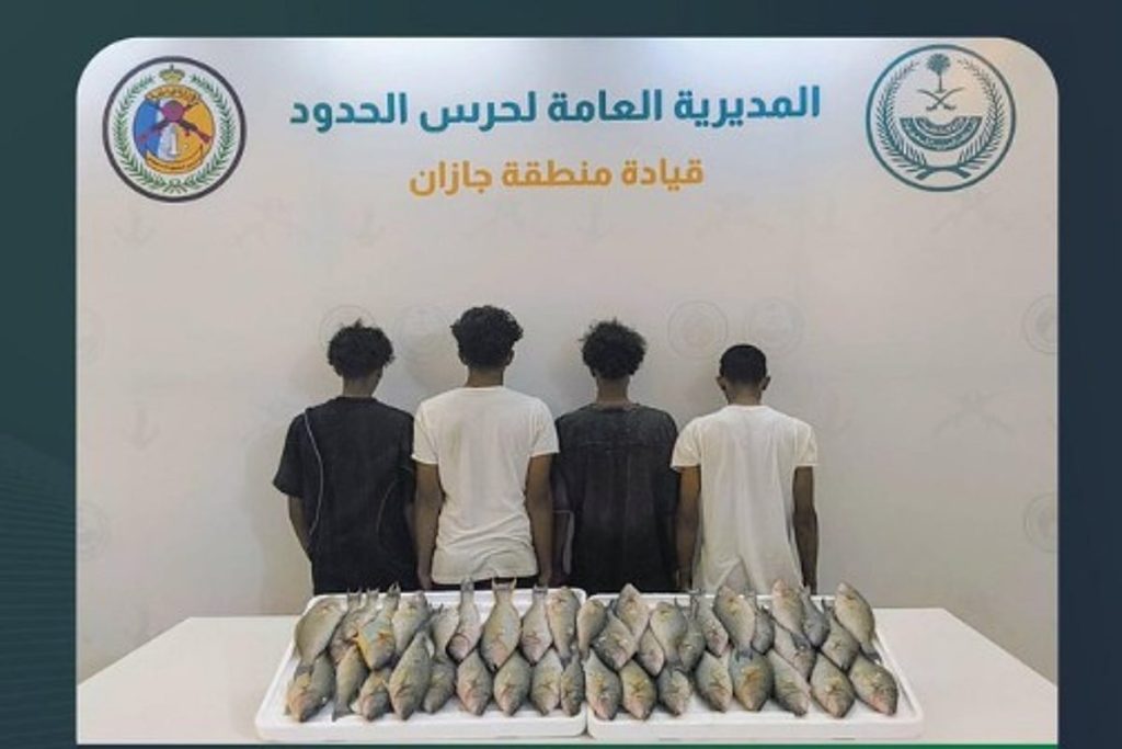 ضبط 4 مخالفين للائحة الأمن والسلامة في المناطق البحرية للمملكة