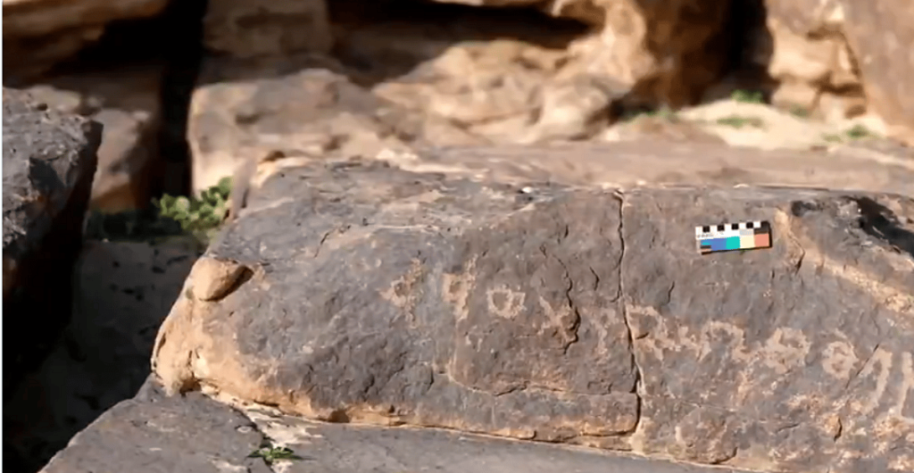 أكاديمية: اكتشافات محمية «الملك عبد العزيز» تنقل ملامح حياة الإنسان القديم