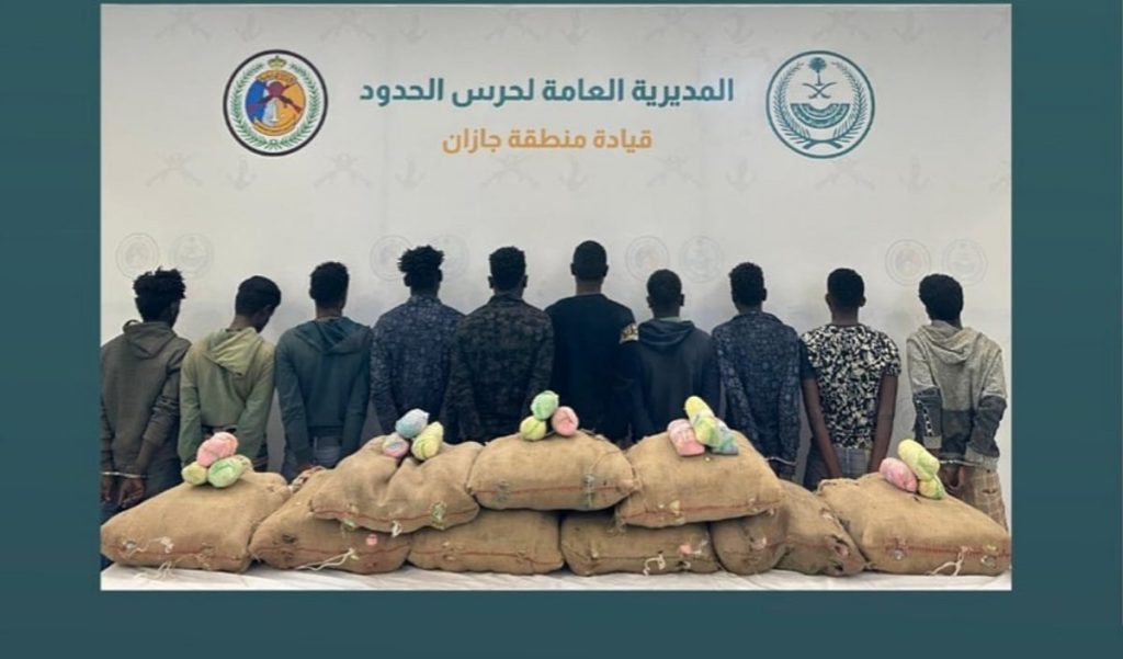 القبض على 10 مخالفين لتهريبهم 162 كيلوجرامًا من نبات القات