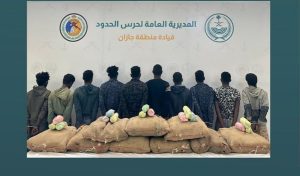 القبض على 10 مخالفين لتهريبهم 162 كيلوجرامًا من نبات القات