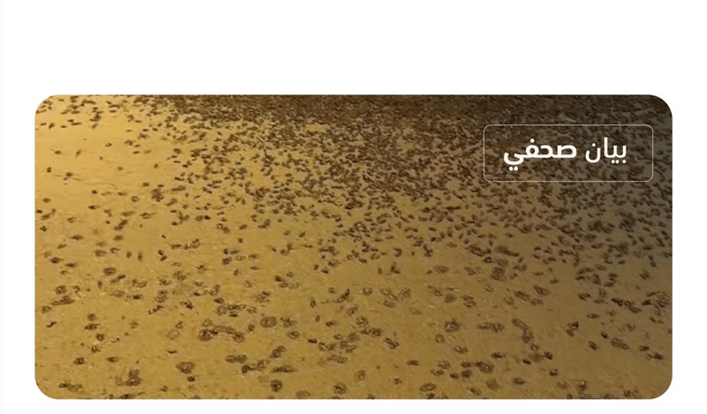 «وقاء»: الخنافس المنتشرة بعدد من المناطق لا تشكل خطرًا على الإنسان والحيوان