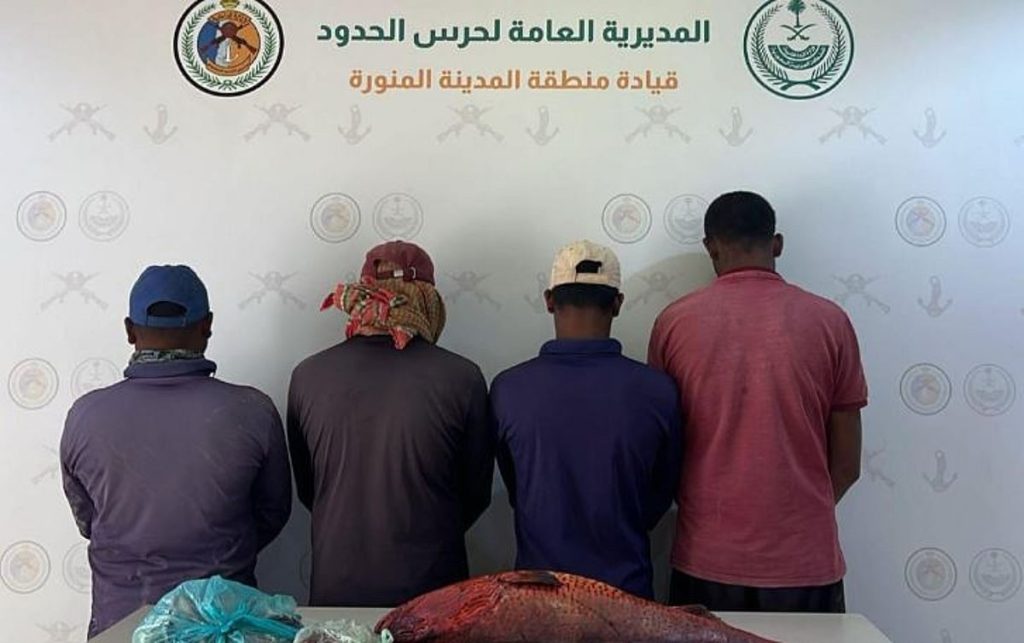 ضبط 4 مقيمين بمنطقة المدينة المنورة لممارستهم الصيد في أماكن محظورة