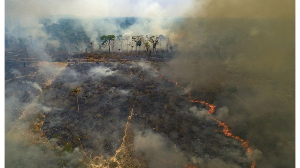 تقرير: حرائق الأمازون لعام 2024 تتسبب في أكبر خسارة للغابات في العالم
