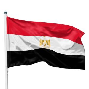 هل تنفذ مصر منظومة إلكترونية لإنهاء إجراءات وصول السياح في المطارات؟