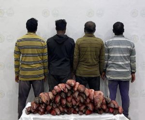 الليث.. ضبط 4 مقيمين مخالفين للائحة الأمن والسلامة في المناطق البحرية