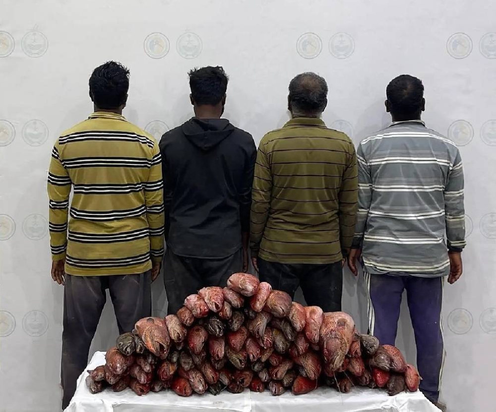الليث.. ضبط 4 مقيمين مخالفين للائحة الأمن والسلامة في المناطق البحرية