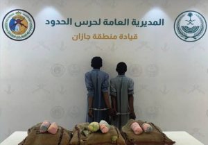 «حرس الحدود» بجازان يقبض على مخالِفَيْن لتهريبهما 60 كيلوغراماً من نبات القات