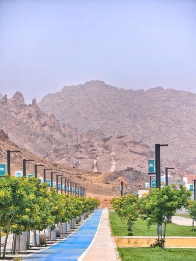 حدائق بين الجبال.. حين تتحوّل الجغرافيا إلى لغة تتكلّمها حائل