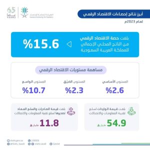«هيئة الإحصاء»: ارتفاع حصة الاقتصاد الرقمي 15.6% من الناتج المحلي