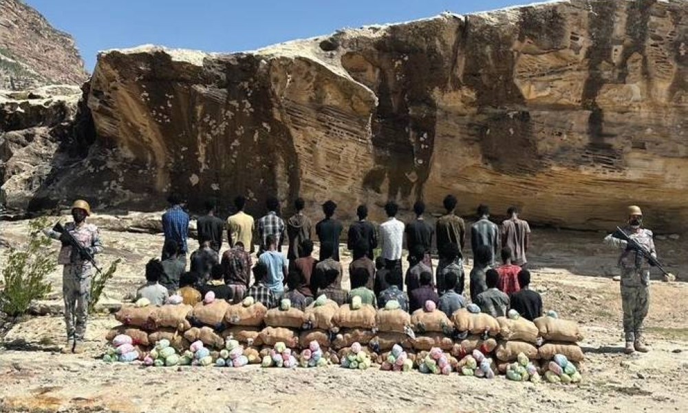 عسير: القبض على 36 مخالفًا لتهريبهم 720 كيلوجرامًا من نبات القات