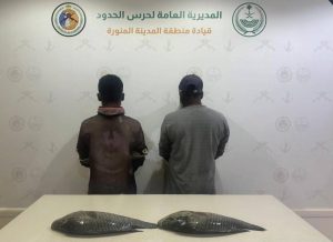 «حرس الحدود» بالمدينة يضبط مقيمين مخالفين لممارستهما الصيد دون تصريح