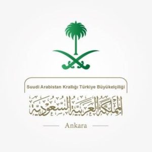 السفارة في تركيا: ننسق مع ذوي الطفل فيصل والسلطات التركية لإكمال الإجراءات