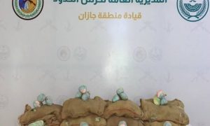 «حرس الحدود» بجازان يحبط تهريب 80 كيلوجراماً من نبات القات