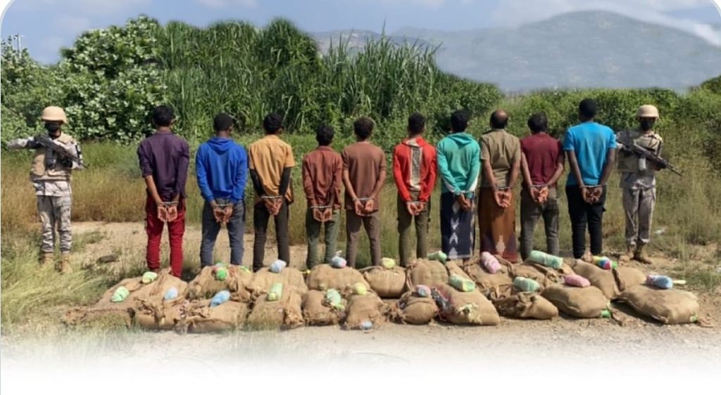 القبض على 10 مخالفين لنظام أمن الحدود لتهريبهم 200 كيلوجرام من نبات القات المخدر
