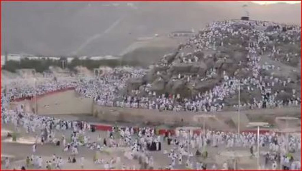مسؤول بـ«البيئة»: موسم الحج الحالي يتميز بتوسع ملموس في الطاقة التشغيلية للمسالخ والأسواق