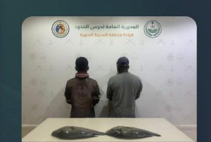 ضبط مقيمين مخالفين للائحة الأمن والسلامة لمزاولي الأنشطة البحرية بمنطقة المدينة المنورة