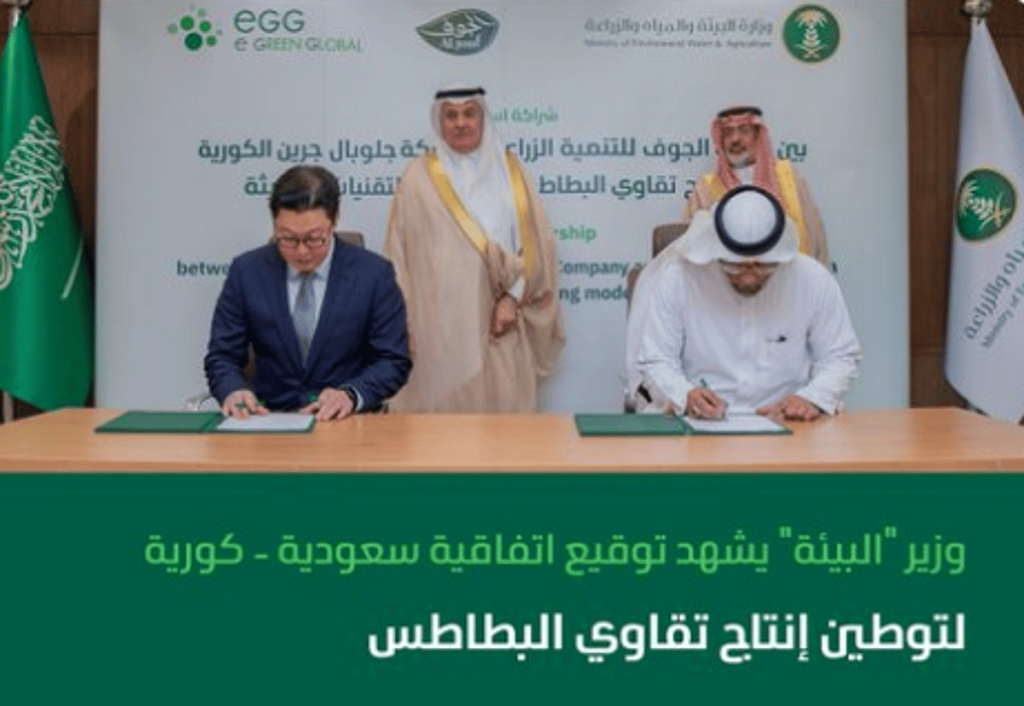اتفاقية سعودية-كورية لتوطين إنتاج تقاوي البطاطس