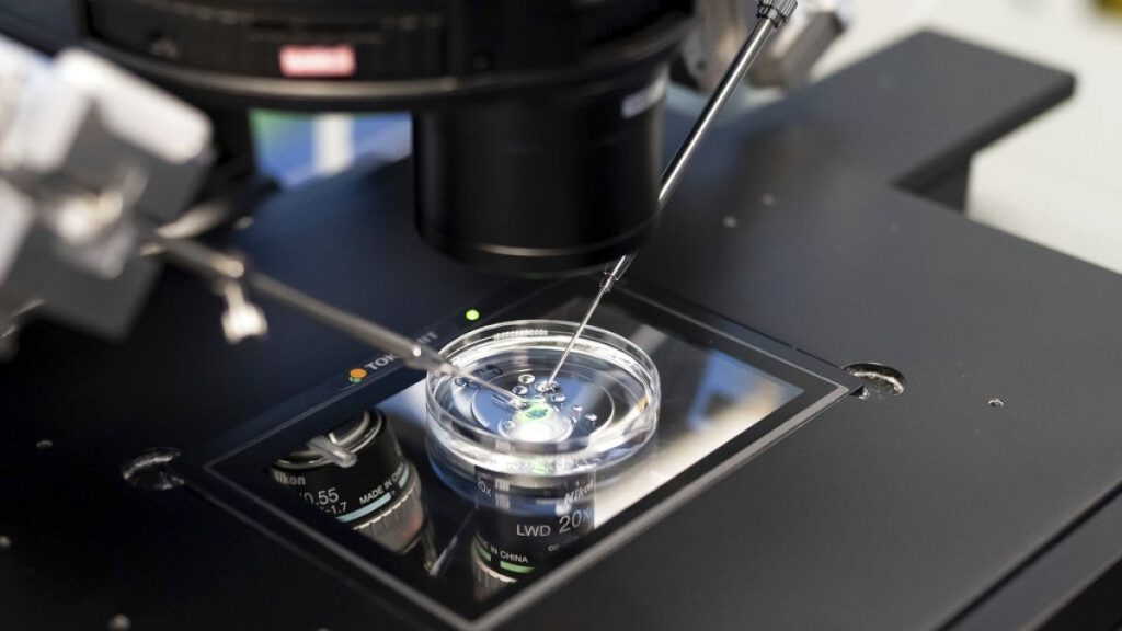 مخاوف من أمراض وراثية وزواج الأقارب.. أوروبا تدرس فرض قيود على التبرع بالحيوانات المنوية