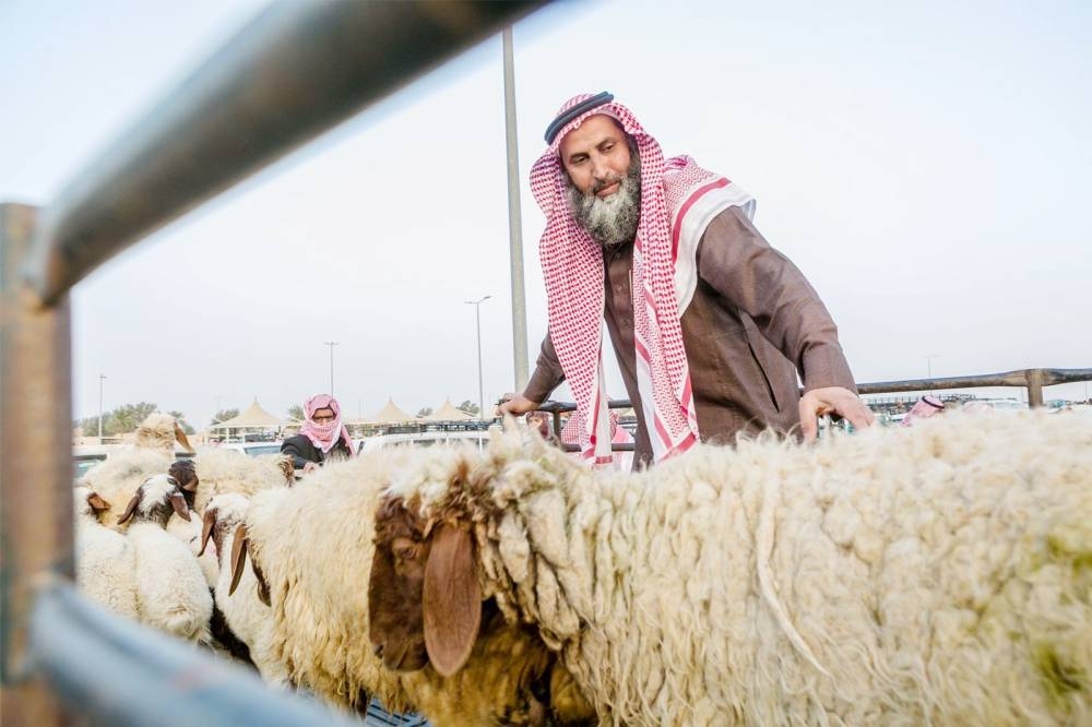 «الأضاحي» تدخل السوق الرقمية