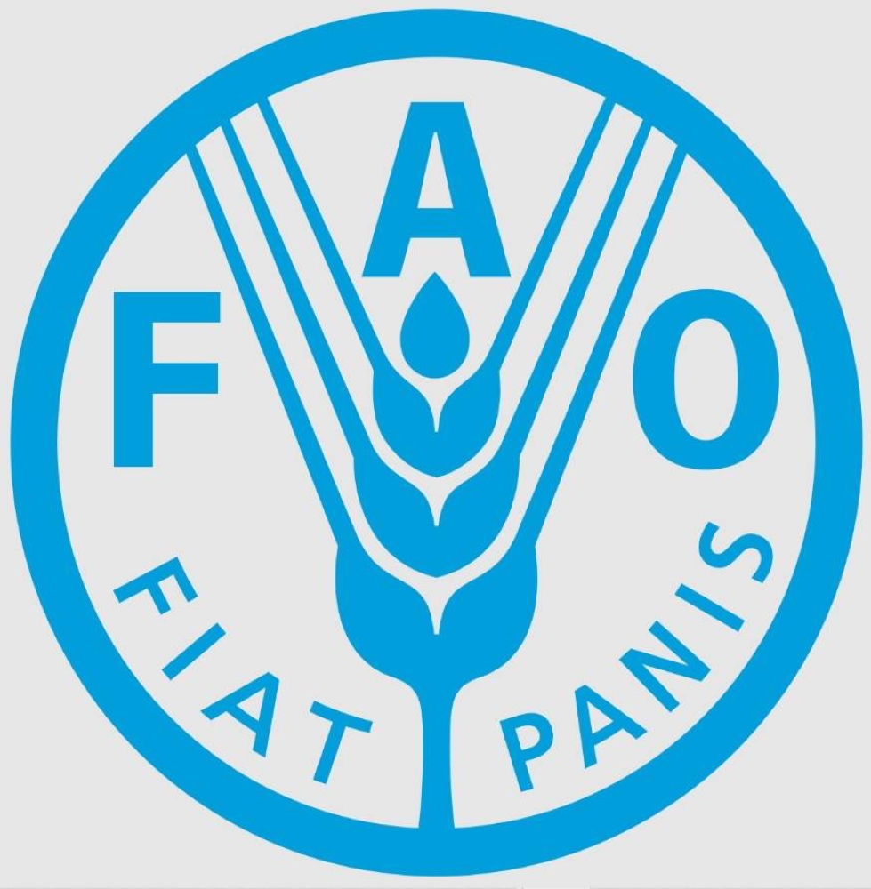 الفاو: تراجع أسعار الغذاء العالمية في مايو