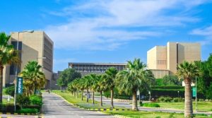 من بين أكثر من 1500 جامعة.. «البترول والمعادن» رقم 101 في العالم