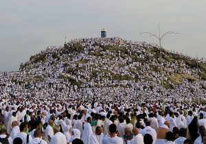 استعدادات متكاملة من أمانة العاصمة المقدسة ليوم عرفة