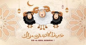 من الاغتسال إلى الذبح.. أبرز سنن عيد الأضحى المبارك كما وردت عن النبي