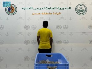 عسير: ضبط مقيم مخالف للائحة الأمن والسلامة في الأنشطة البحرية