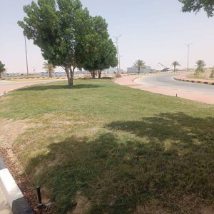 بلدية القليب تطلق مبادرة لتطوير المساحات الخضراء وتجميل المدينة