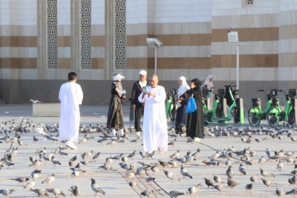 «الروثانة» تستقبل الزوار.. خيارات جاذبة في المدينة المنورة