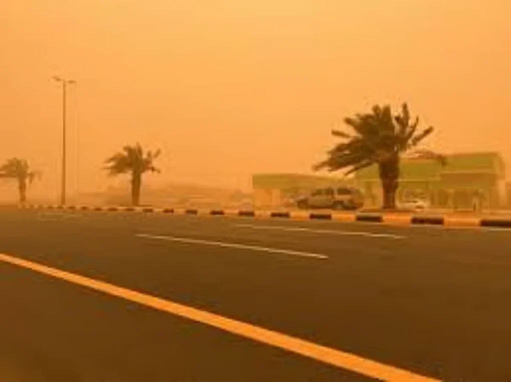 "الأرصاد": عوالق ترابية وأتربة مثارة على منطقة الباحة