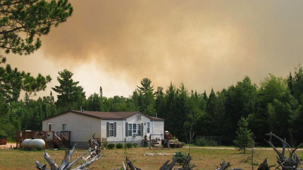 “يزيد من مخاطر الإصابة بالخرف والربو وأمراض أخرى”.. دراسة تكشف تأثير دخان حرائق الغابات
