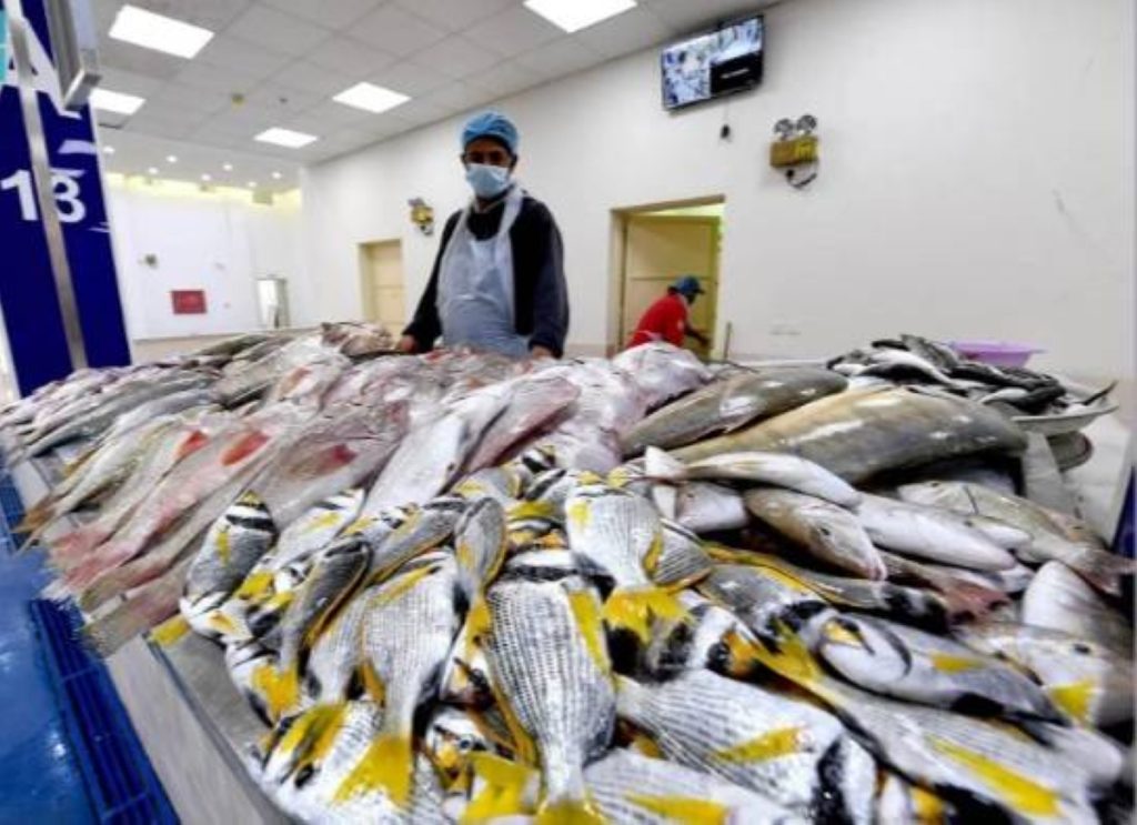 44 ألف طن من الأسماك والروبيان إنتاج مشاريع الاستزراع السمكي بالشرقية