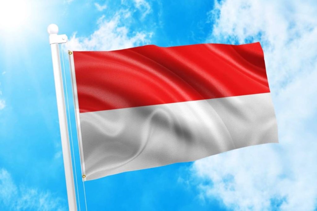 إندونيسيا تتجه لإنشاء صندوق سيادي للذكاء الاصطناعي