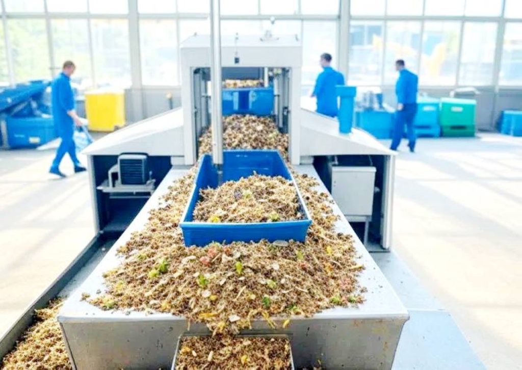 خطة شاملة تحوّل النفايات الزراعية من عبء بيئي إلى ثروة