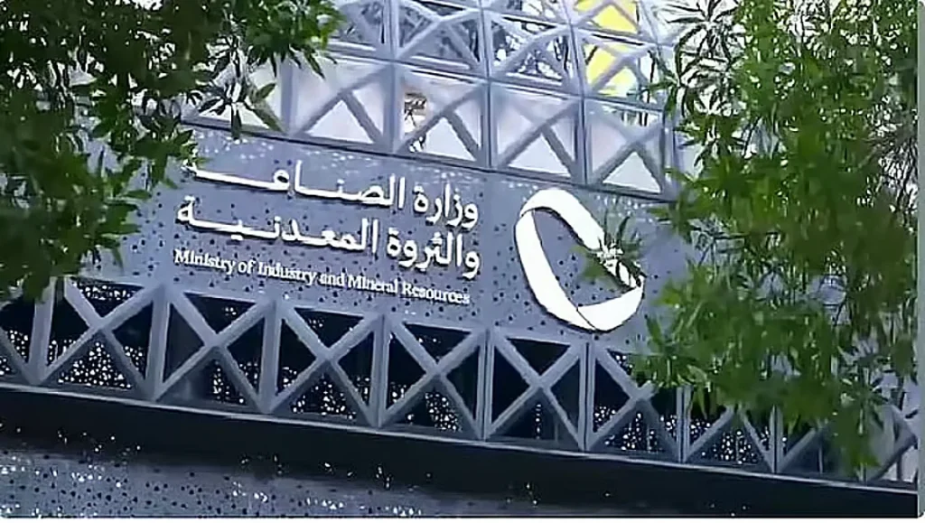 كاتبة اقتصادية: الحوافز المعيارية تشجع الاستثمار وتوفر بيئة ملائمة لتطوير الصناعات المحلية