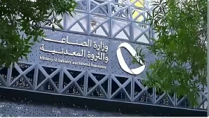 كاتبة اقتصادية: الحوافز المعيارية تشجع الاستثمار وتوفر بيئة ملائمة لتطوير الصناعات المحلية