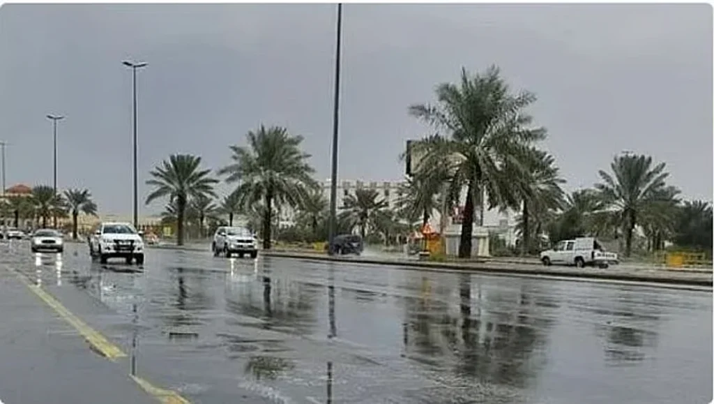 «المرور» ينبه قائدي المركبات بالتأكد من سلامتها قبل القيادة بأجواء ماطرة