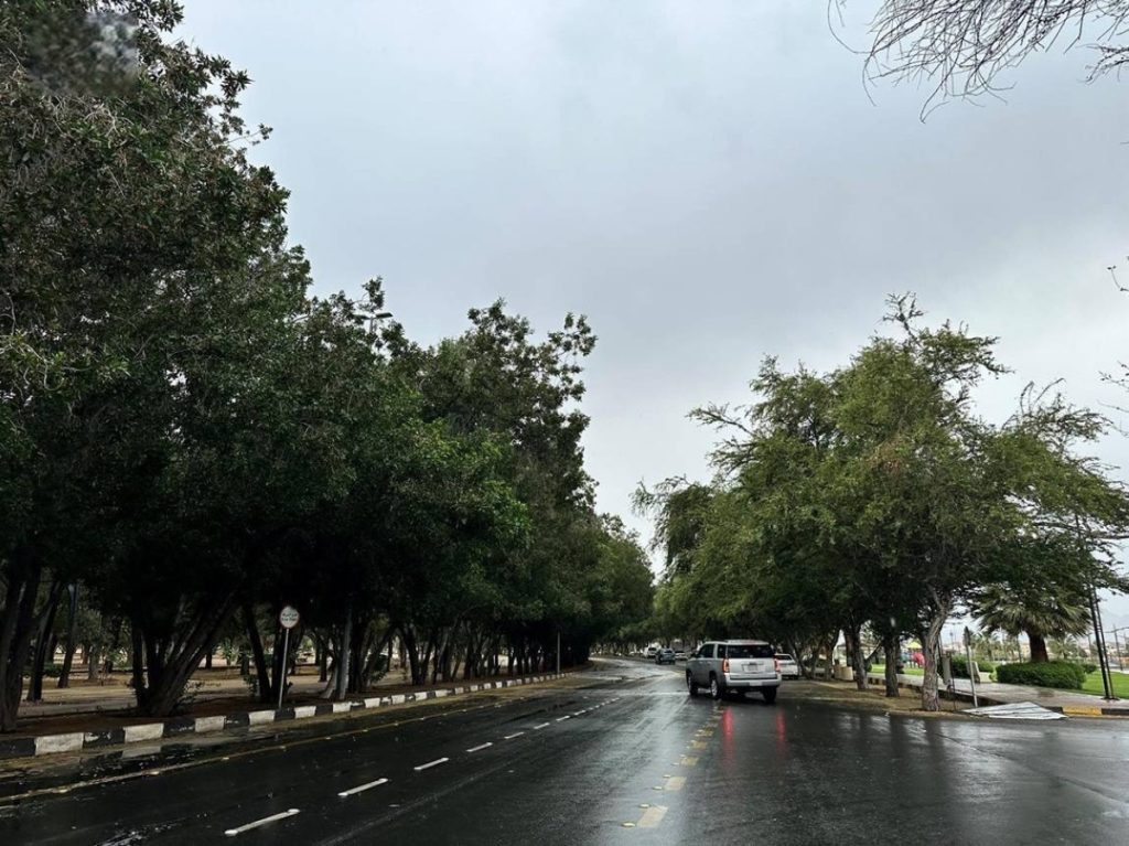 «الأرصاد»: أمطار غزيرة على منطقة نجران