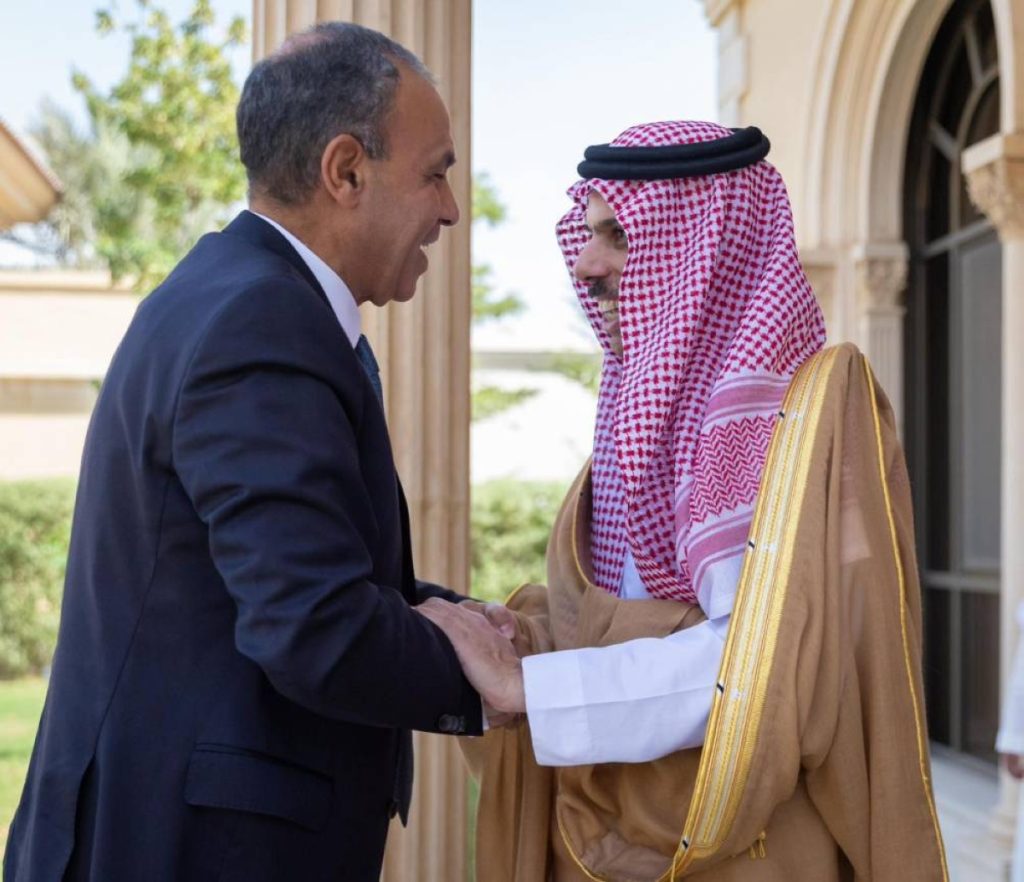 وزير الخارجية يناقش مع نظيره المصري الجهود المبذولة لضمان أمن المنطقة
