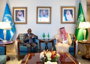 الجبير ورئيس وزراء جزر سليمان يبحثان العلاقات الثنائية بين البلدين