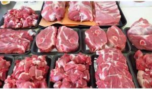 التطبيق أول أكتوبر