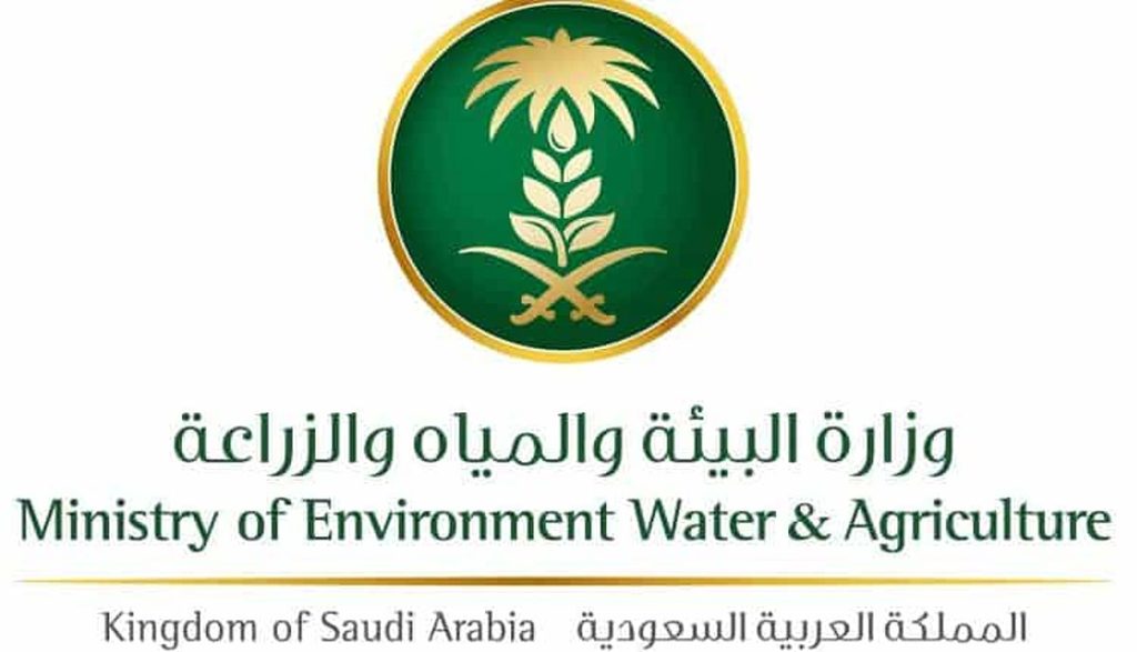 ضبط 12 مخالفة وتحرير 91 إنذارًا ومصادرة 38 كجم من المنتجات في الجوف