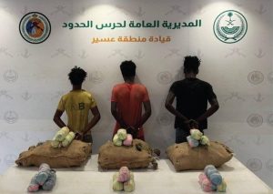 «حرس الحدود» يقبض على 3 مخالفين لنظام أمن الحدود لتهريبهم 60 كيلوغراماً من القات بعسير