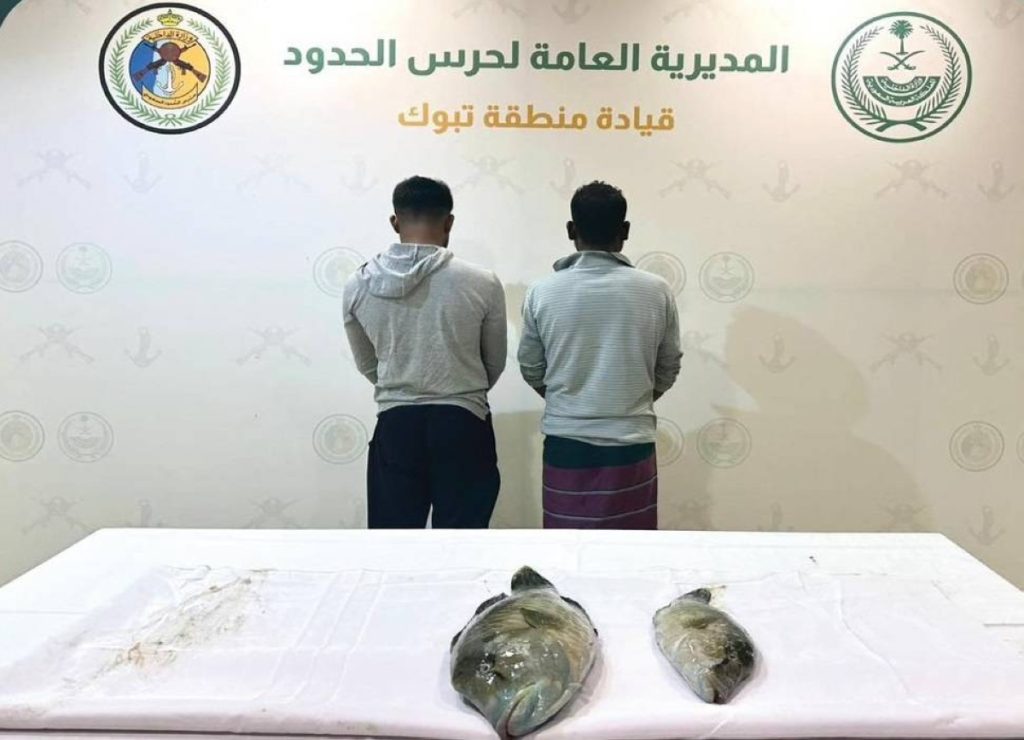 تبوك: ضبط مقيمين مخالفين للائحة الأمن والسلامة في المناطق البحرية للمملكة