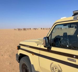 «الأمن البيئي» تضبط شخصاً مخالفاً لرعيه في محمية